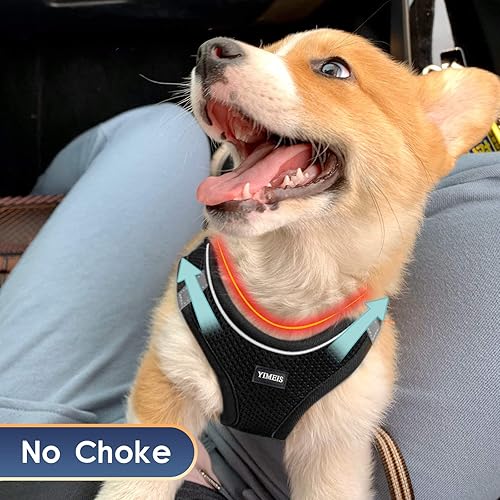Miniatura 91 de YIMEIS - Juego de arnés de malla suave y correa, para perros pequeños y gatos, chaleco reflectante ajustable para cachorros, (talla XS, negro)