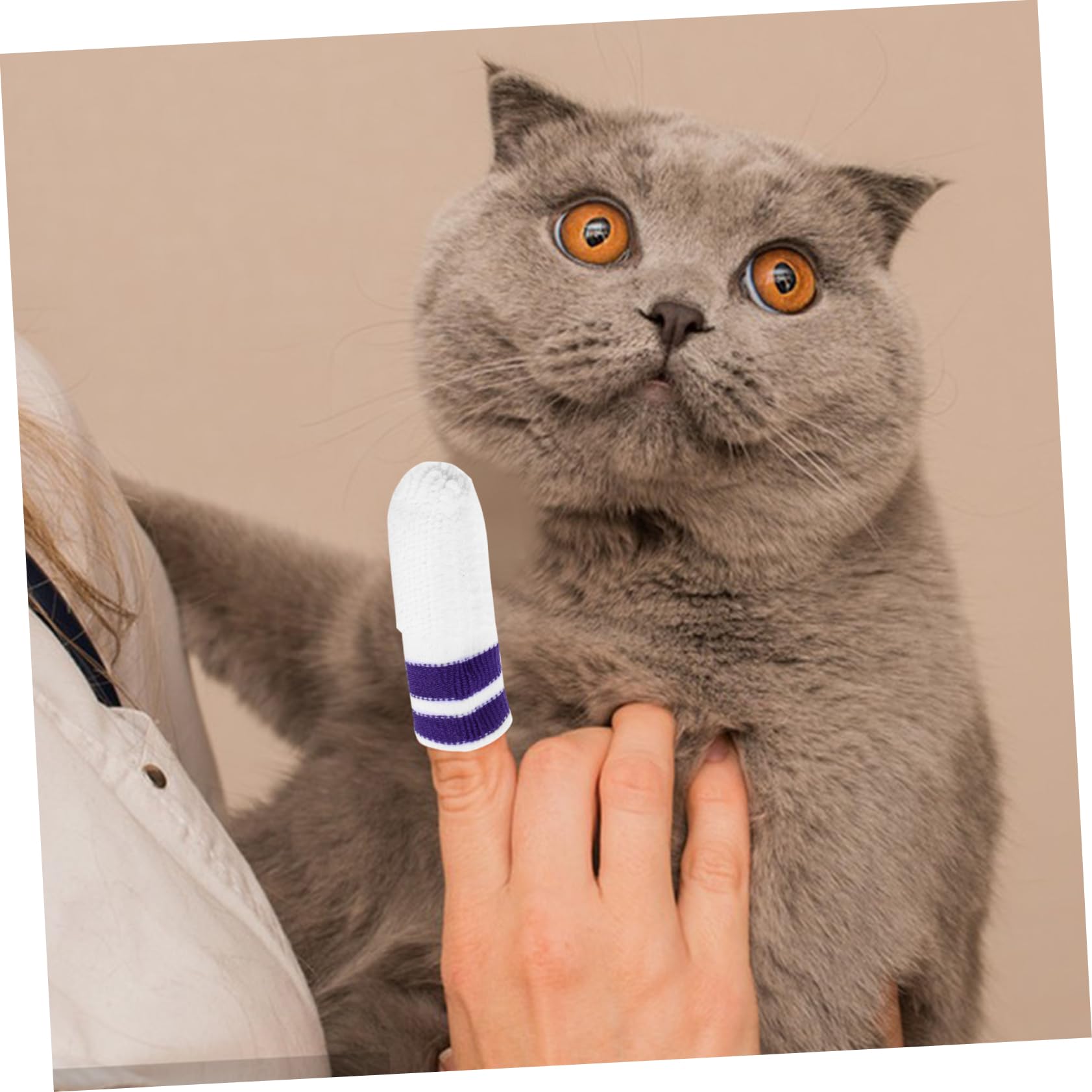 Toddmomy 30stücke Haustier Fingerzahnbürste Für Hunde Und Katzen Sanfte Zahnreinigung Mit Oral Pads Für Gesunde Zähne Und Frischen Atem Für Kleine Tiere