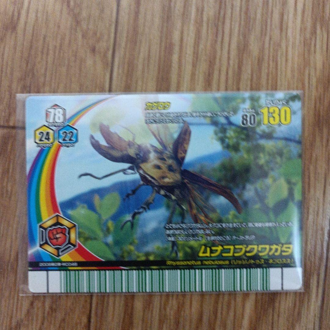 Amazon.co.jp: ムシキングカード ムナコブクワガタ アダー完結編