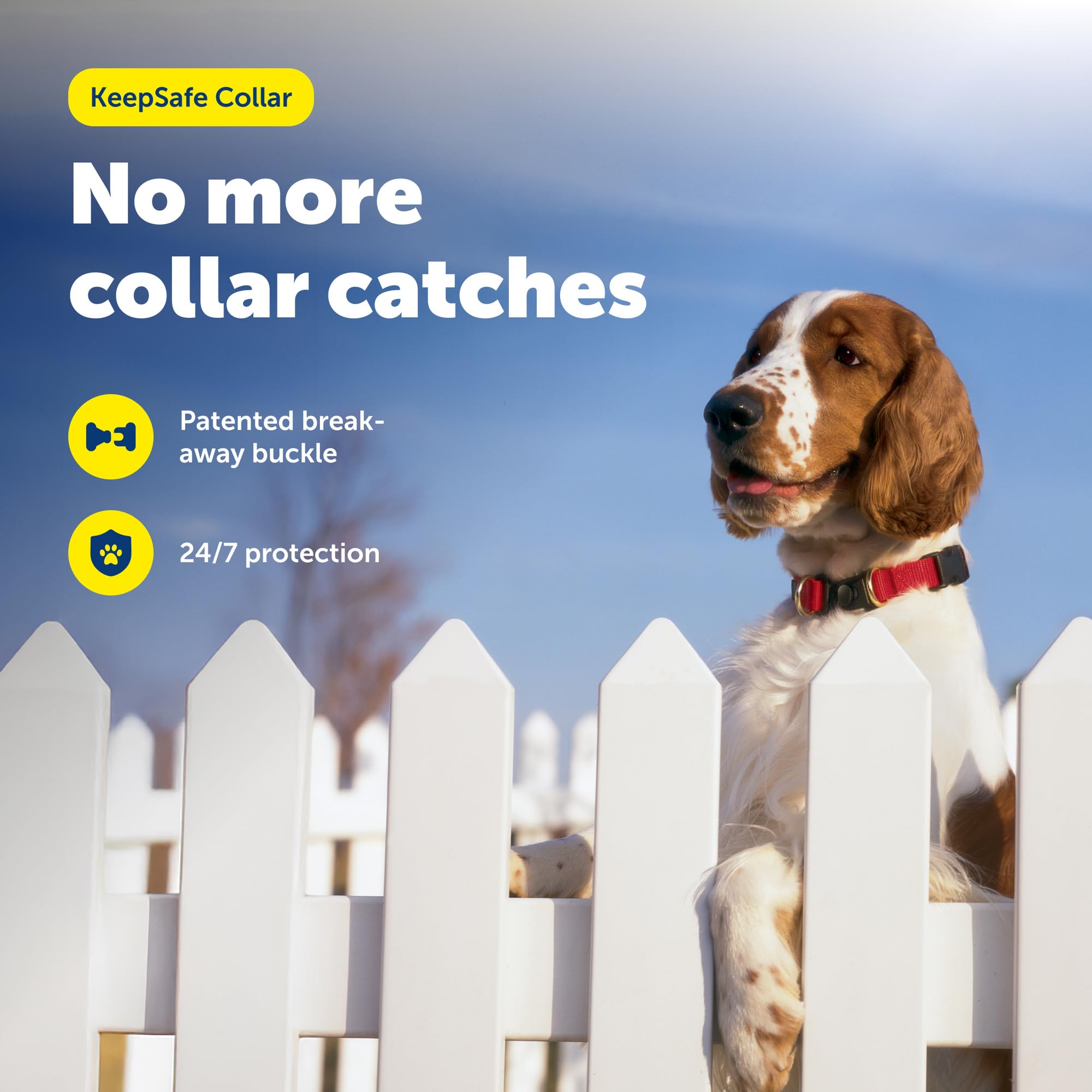 PetSafe KeepSafe Collier avec système Anti-étranglement pour Chien