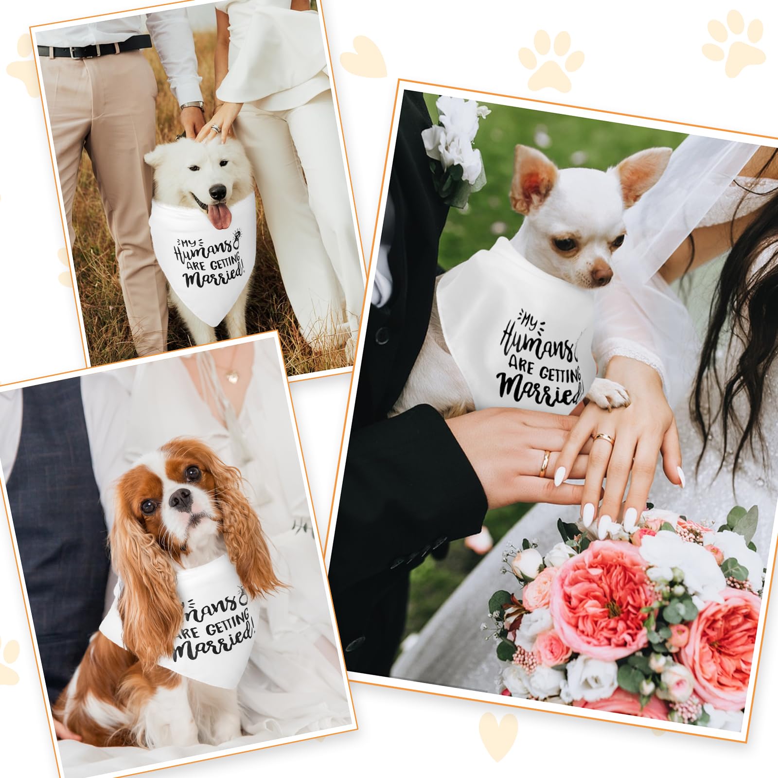 WLLHYF Regalo di fidanzamento Bandana per cani My Humans are Getting Married Sciarpa per animali domestici Annuncio di fidanzamento Bandana per cani Accessori per animali domestici per gli amanti dei