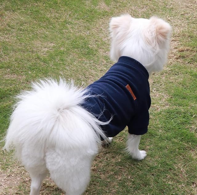 Foto 4 de 6 de HuaLiSiJi Jersey Perro Pequeño Sudadera Perro Pequeño Ropa Perro Bulldog Frances Jersey Perro Salchicha