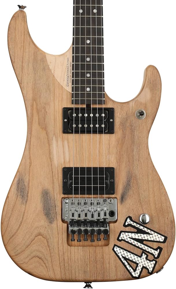 Amazon.com: Washburn USA Custom Shop 6 String Solid-Body Electric