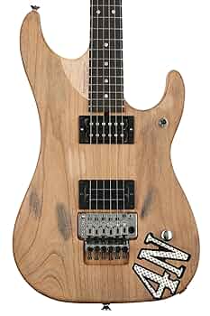 Amazon.com: Washburn USA Custom Shop 6 String Solid-Body
