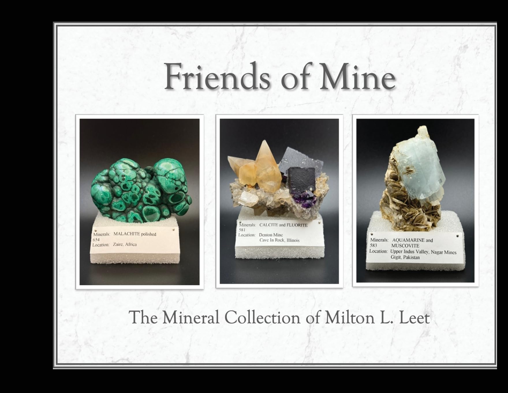 Friends of Mine: the Mineral Collection of Milton L. Leet