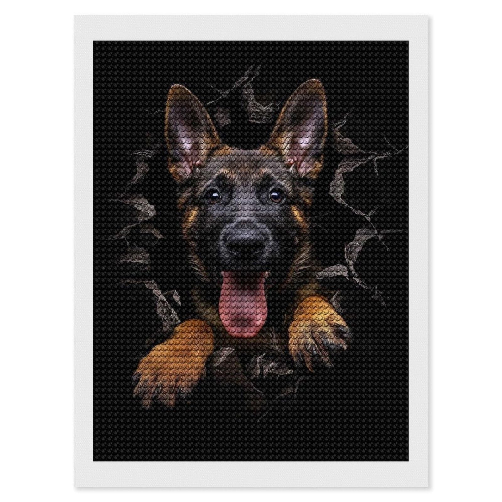 Junmoney Belgian Malinois DIY Diamond Art Canvas Kit 12"x16", Simple to Start, Fun Craft Experience, Modern Decor, Gift Idea, Adhesive Canvas
