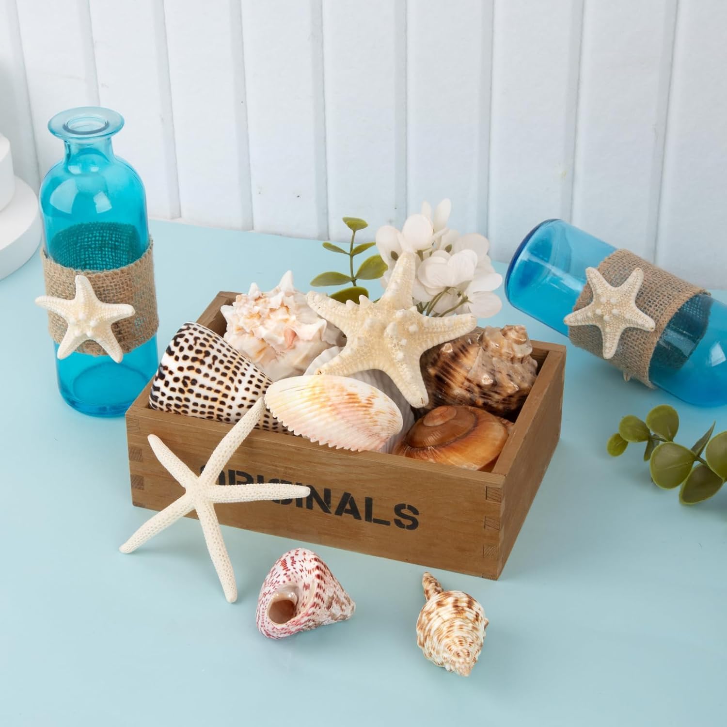 Conchiglie marine per decorare 15 conchiglie grandi a forma di stella marina per feste in spiaggia, riempitivi per vasi, decorazioni per la casa, artigianato fai da te, bagno, decorazioni per acquari