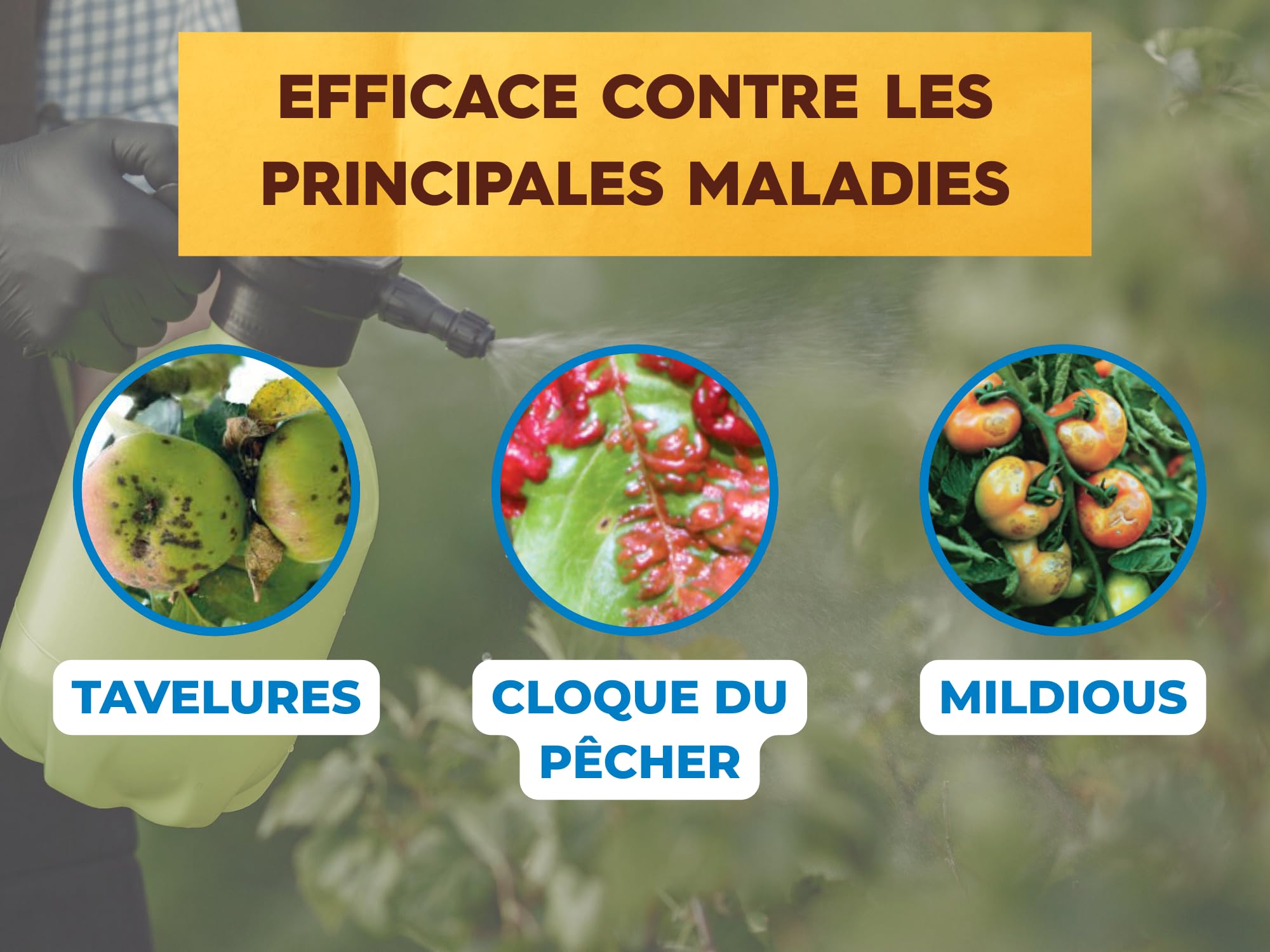 SOLABIOL Bouillie Bordelaise - Granulés - 200L de Solution - 800g | Fongicide Polyvalent - Préventif & Traditionnel - Mildiou, Tavelure, Cloque - Coloration Bleue - SOBB800
