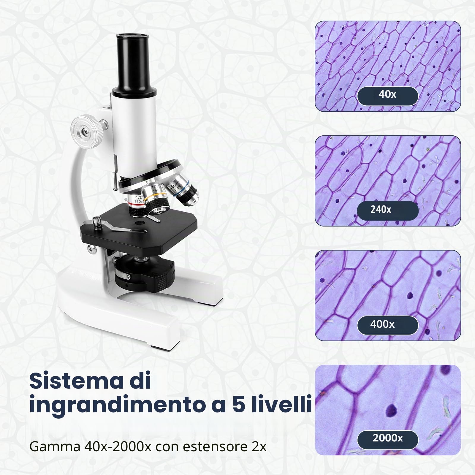 40-2000x microscopio in metallo professionale per adulti e bambini, con oculari 10x e 25x, 4x 10x 40x obiettivi, 2x lenti e set di accessori, ideale per biologia e metallurgia