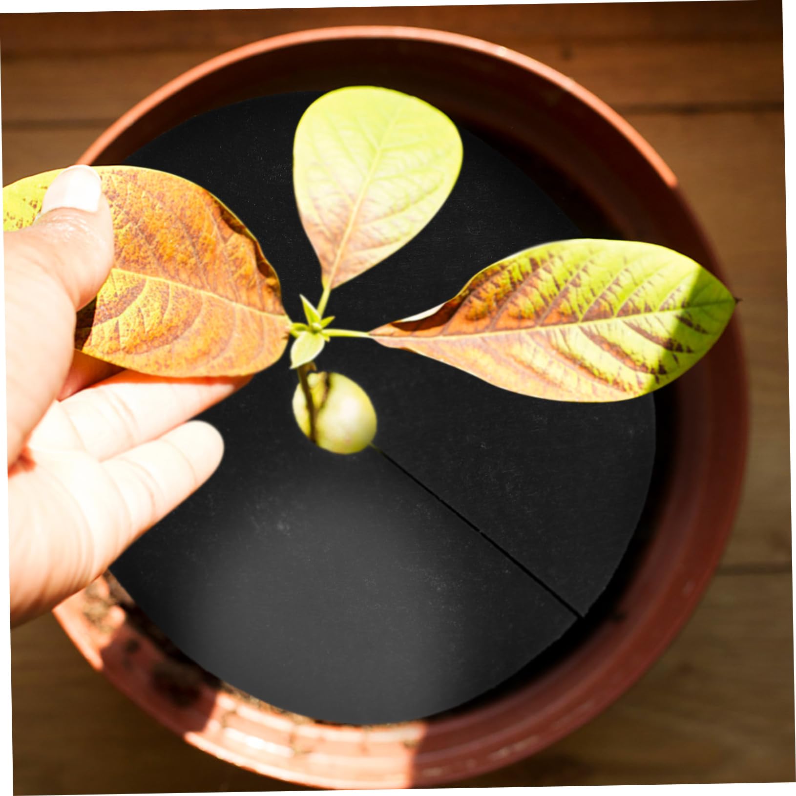 BESTonZON 10 Sätze Garten Unkrautschutzring Atmungsaktive Und Wasserdurchlässige Vliesstoff Matten Für Effektive Unkrautbekämpfung Durchmesser Für Und Pflanzenpflege 20 Stück * 10