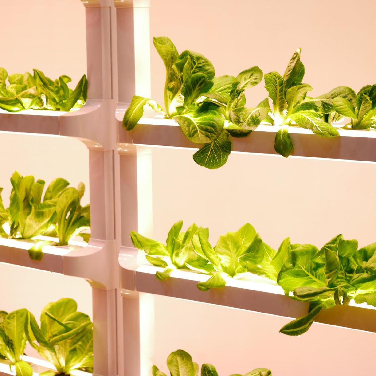 Bande Lumineuse LED de Croissance 5 Mètres Étanche Smd 5050 pour Plantes de Serrage Légumes et Fleurs Flexible Facile à Installer pour Semis