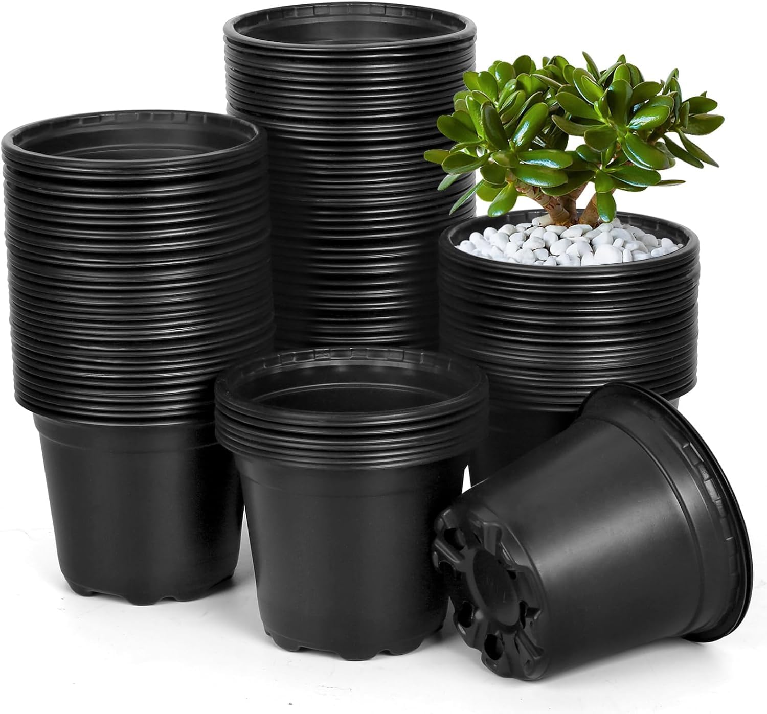 DUNPUTE 120 Pack 6 Inch Plant Nursery Pots