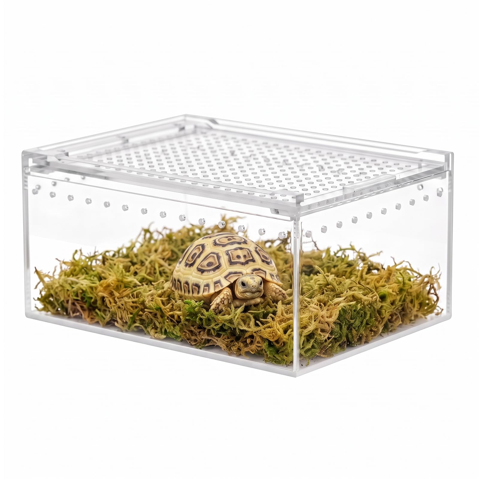 OMJMYY Jumping Spider Enclosure, Acrylic Insect Terrarium, 20 x 15 x 10cm