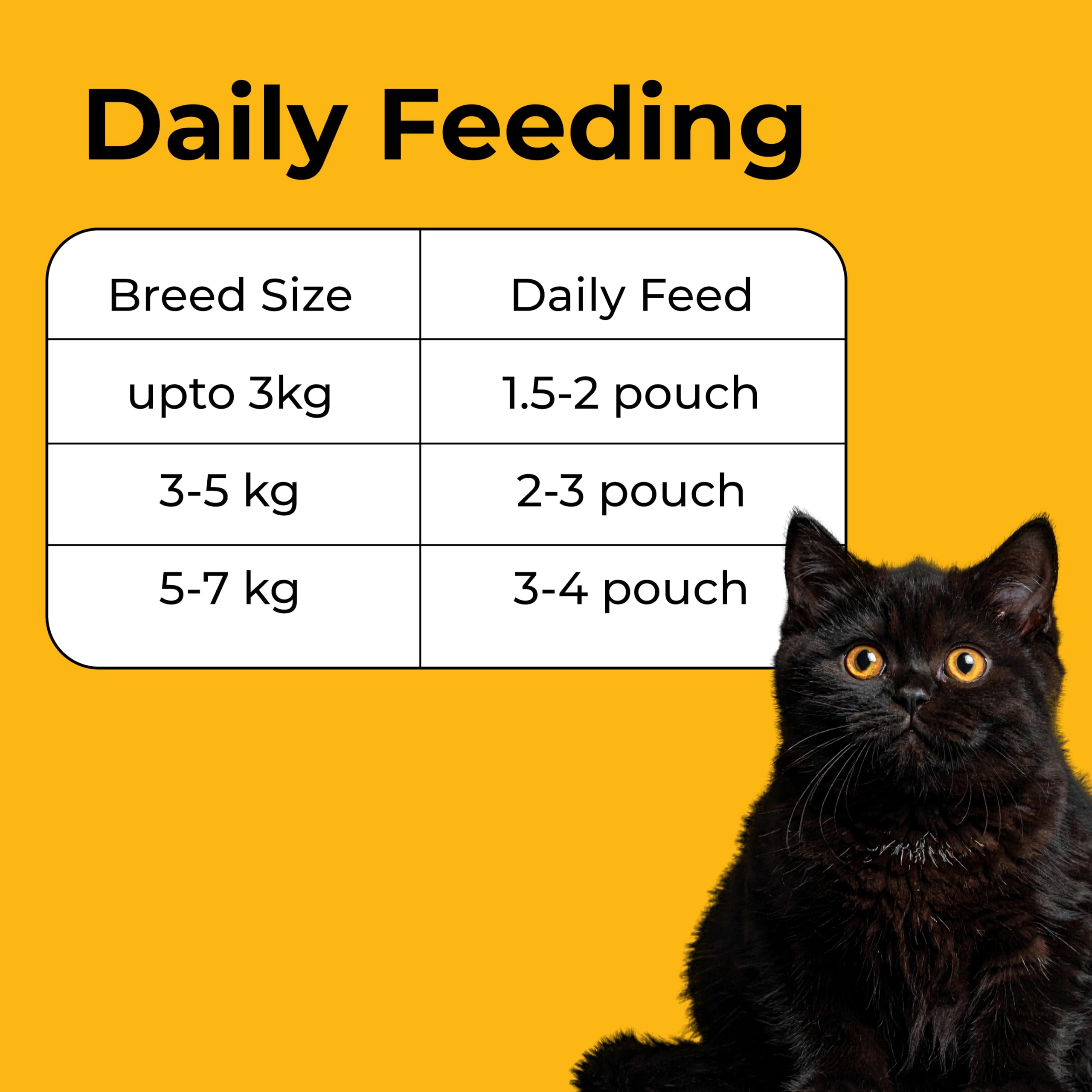 Purrkins Adult Cat Wet Food β Combo Pack of 5 (Chicken Meal 3x80g, Chicken & Liver Pudding Meal 2x80g), Grain & Gluten Free, Complete & Balanced Meal for All Cat Breeds, High-Protein Cat Food Pouch 3