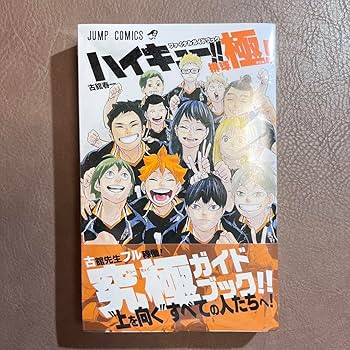 k*n様 ハイキュー!! 全43巻セット 空きあり ファイナルガイドブック付き ハイキュー!! 全43巻セット 空きあり ファイナルガイドブック