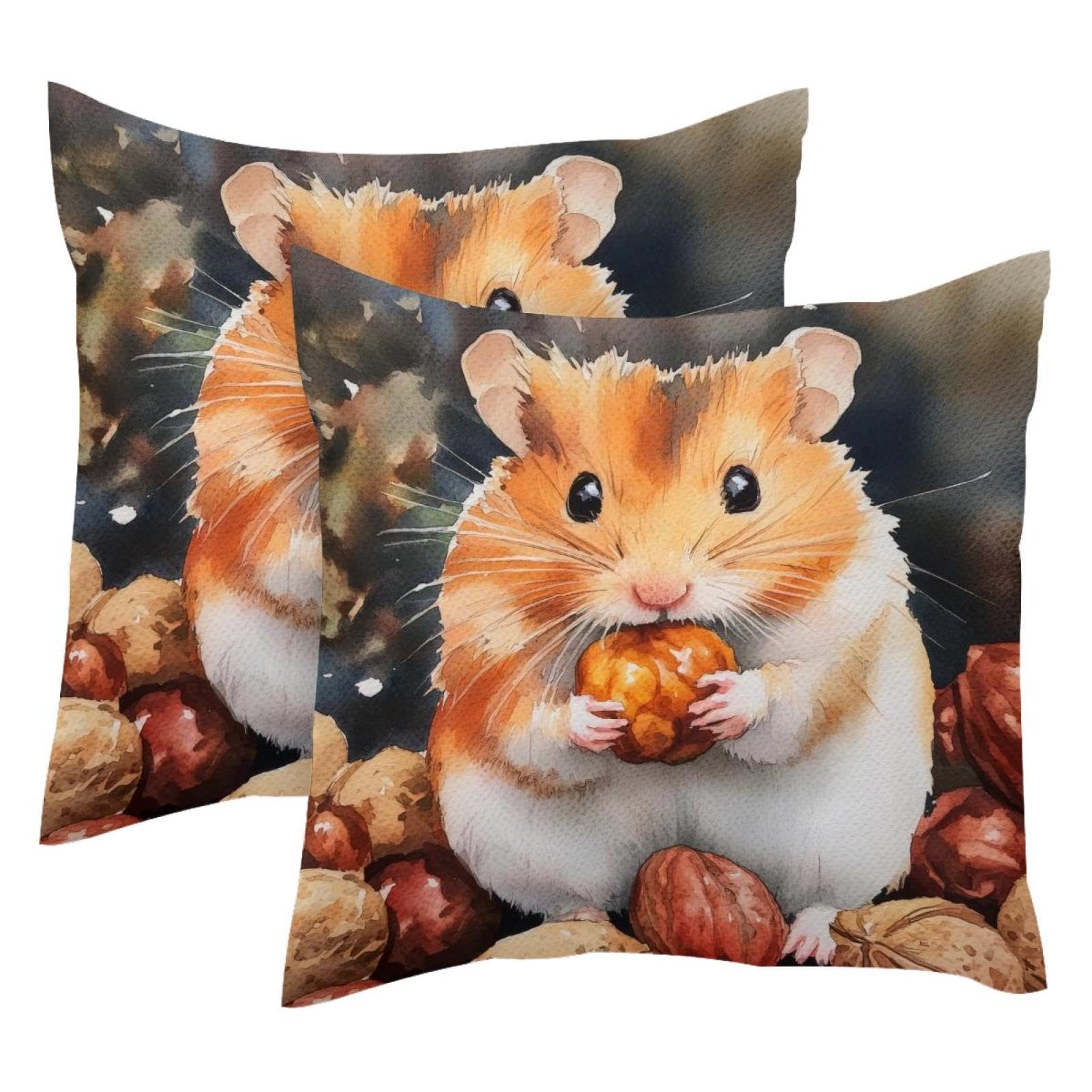 Housse de coussin velours 50x50 cm lot de 2 | Taie de coussin décorative hamster doux