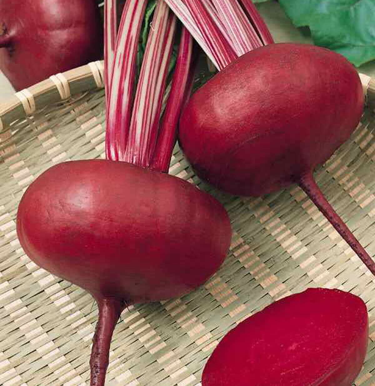 M-Tech Gardens Hybrid Beet Root " Red Flat " Exotic 20 Vegetable Seeds for Growing