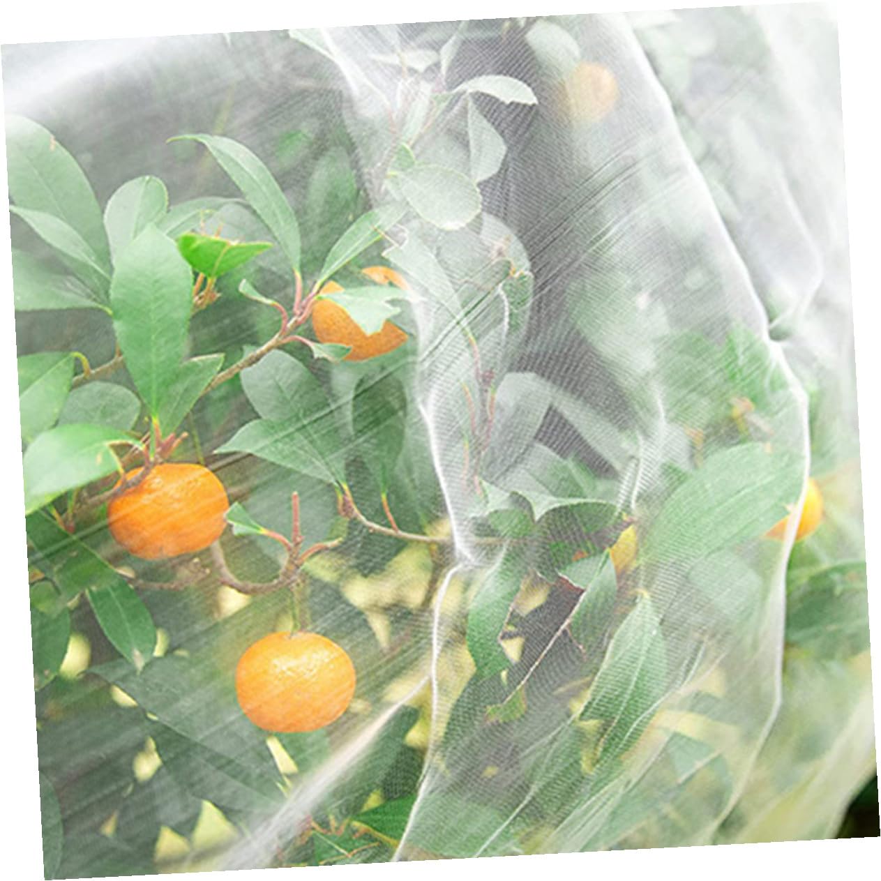 Malla Fina para Jardín Protección Plantas Frutas Verduras contra Pájaros y Animales Daños Cubierta Ligera y Recortable para Cultivo Saludable