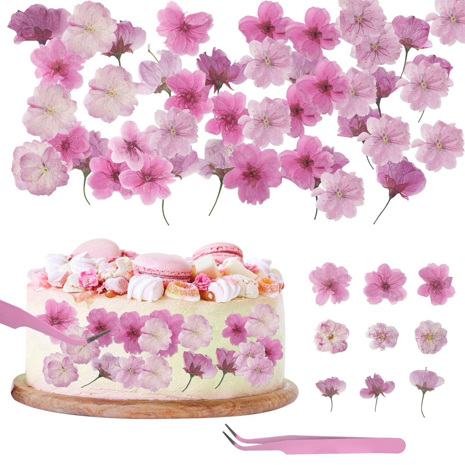 HUOMAQFAN 72PCS Pink Natural Dried Pressed Edible Flowers, 3 Types Naturally Dried Pressed Real Flowers for Cake Toppers Decoration, Mix Cherry Blossom Flowers for DIY Resin Crafts and Jewelry Making