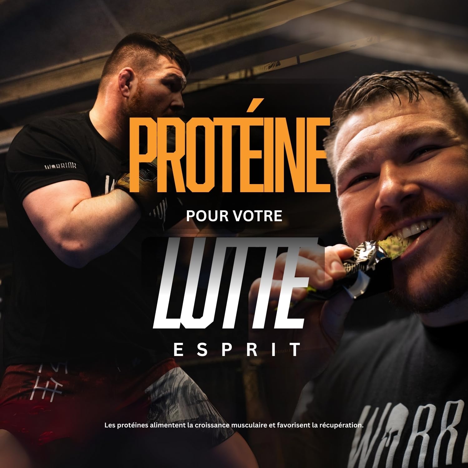 Warrior Crunch Barre Protéinée 12 x 64 g – Caramel Salé