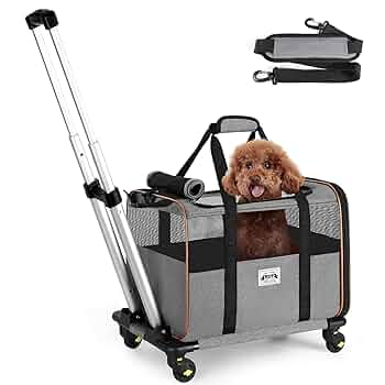 希少 SPORTS AUTHORITY 2人がけチェア 専用車輪付きケース 希少 SPORTS AUTHORITY 2人がけチェア 専用車輪付きケース 希少