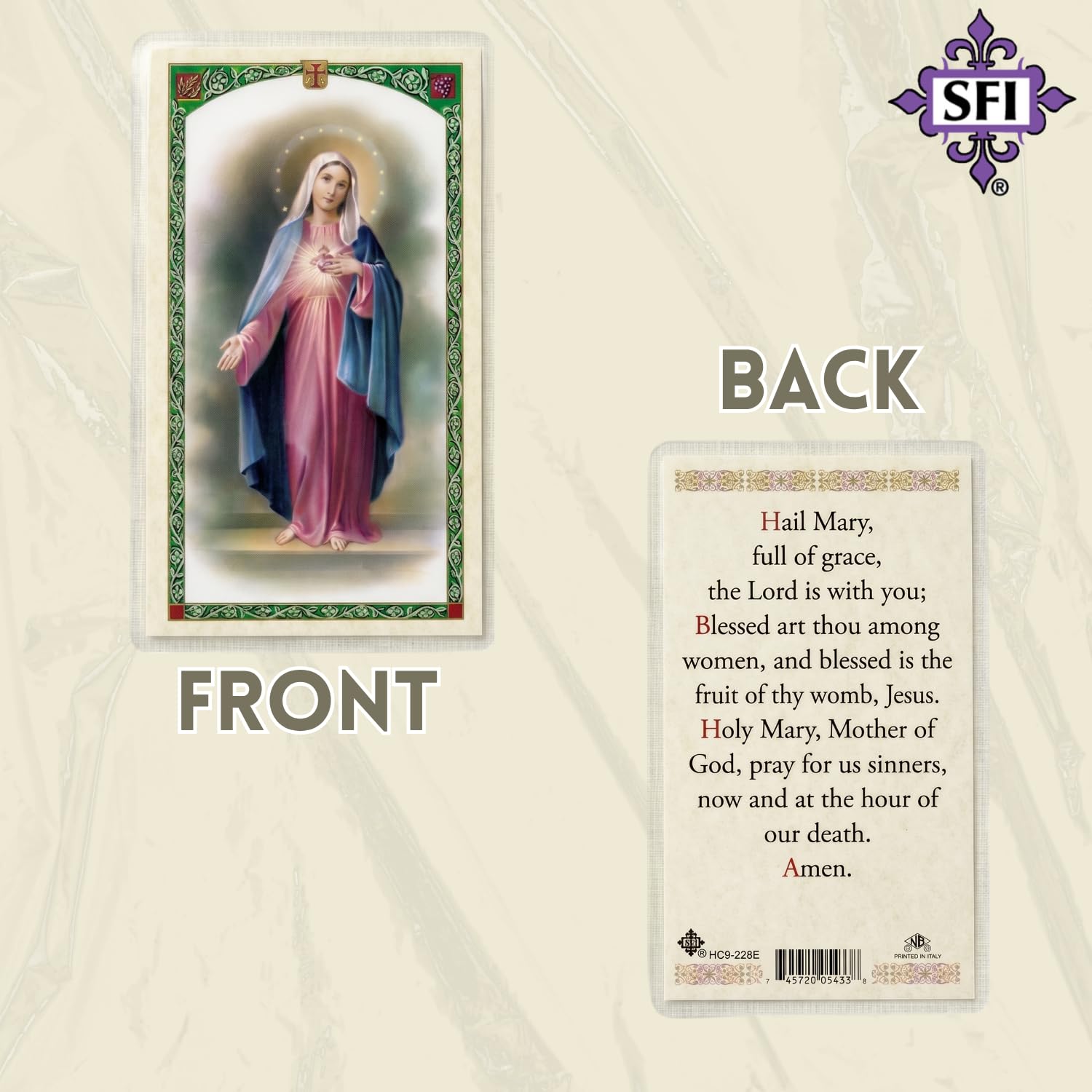 San Francis Imports Hail Mary Full of Grace Laminated Holy Prayer