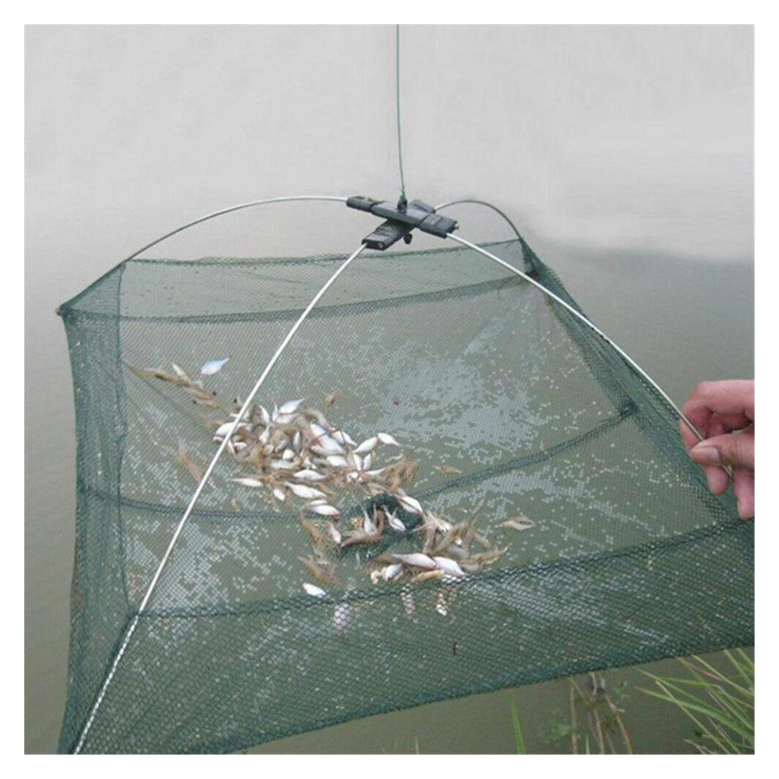 best shimano curado baitcaster Shimano Curado BFS Reel