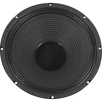 Amazon.com: Jensen Speaker, Green, 12-Inch (C12K8) : Musical