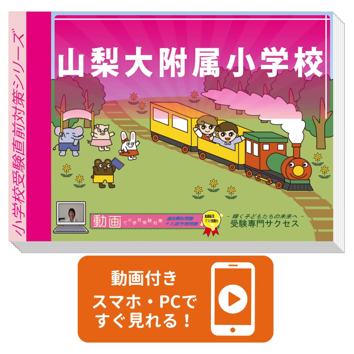 岡山大附属小学校入試問題集 1-3 DVD 受験直前対策　受験専門サクセス 2027 山梨大附属小学校 受験 問題集 過去の入試傾向と対策 プレテスト