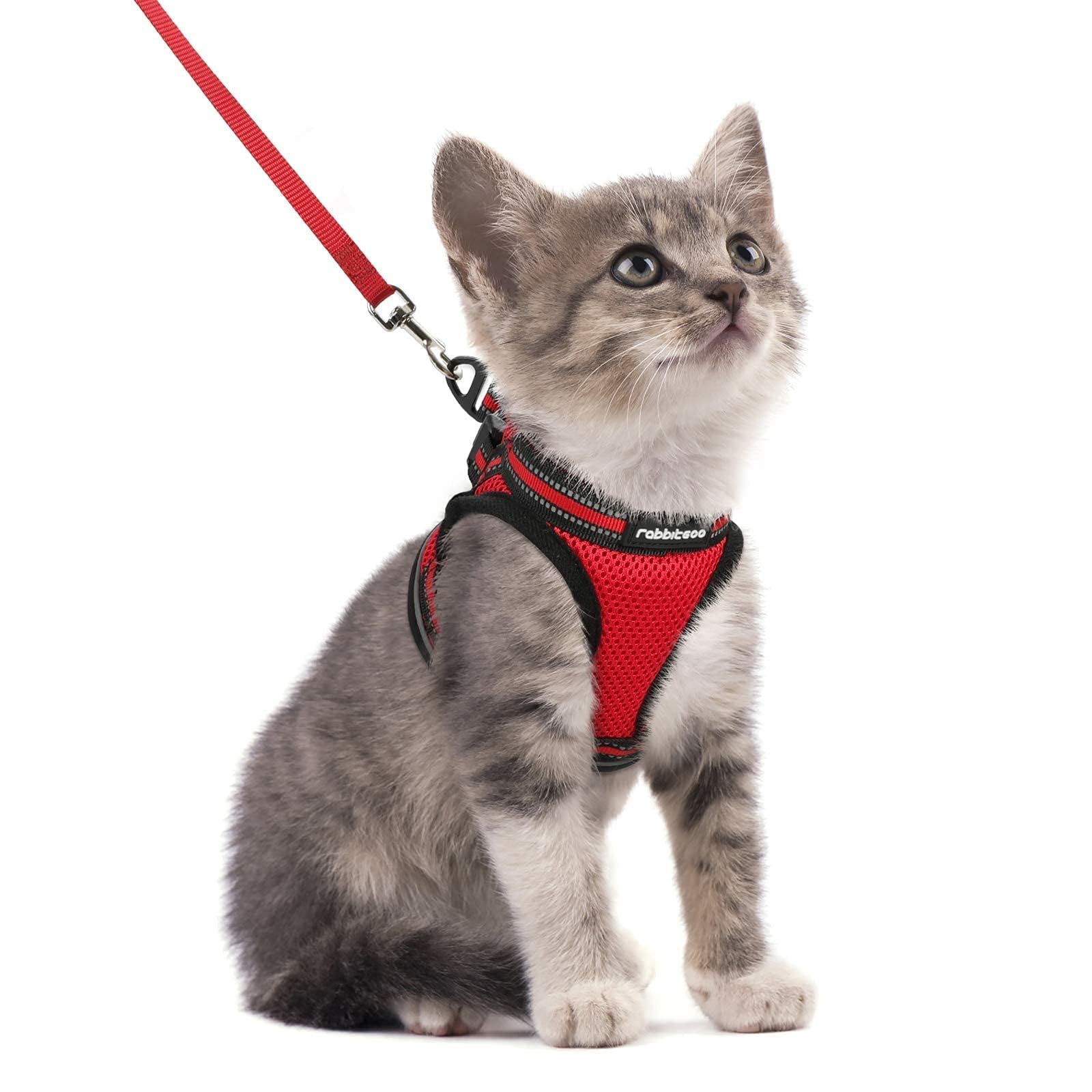 rabbitgoo Cat Harness and Leash Set for Walking Escape Proof, Adjustable Soft Kittens Vest with Reflective Strip for Cats, Comfortable Outdoor Vest, Black, Small — view 30