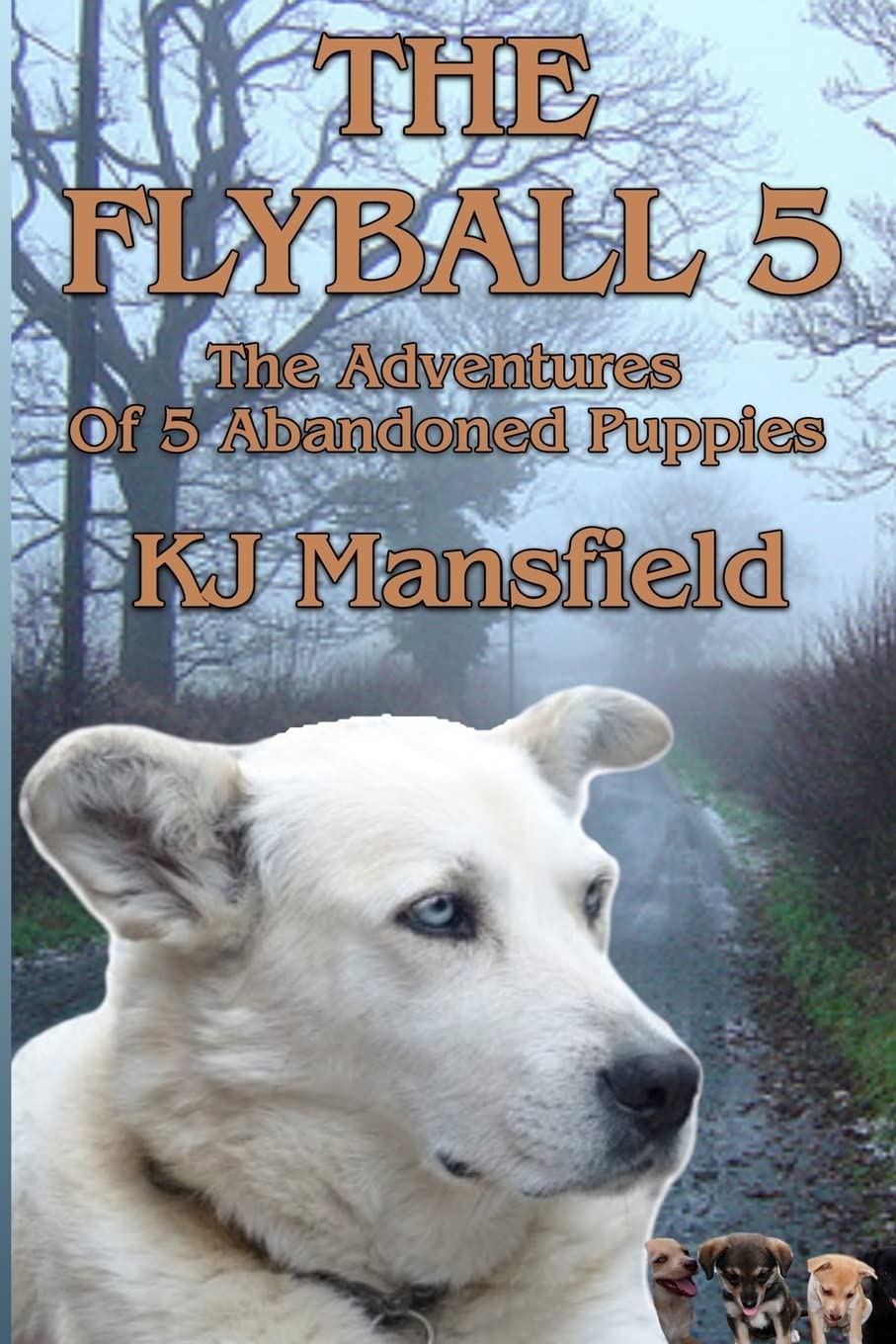 The Flyball 5: The adventures of 5 abandoned puppies: Volume 1