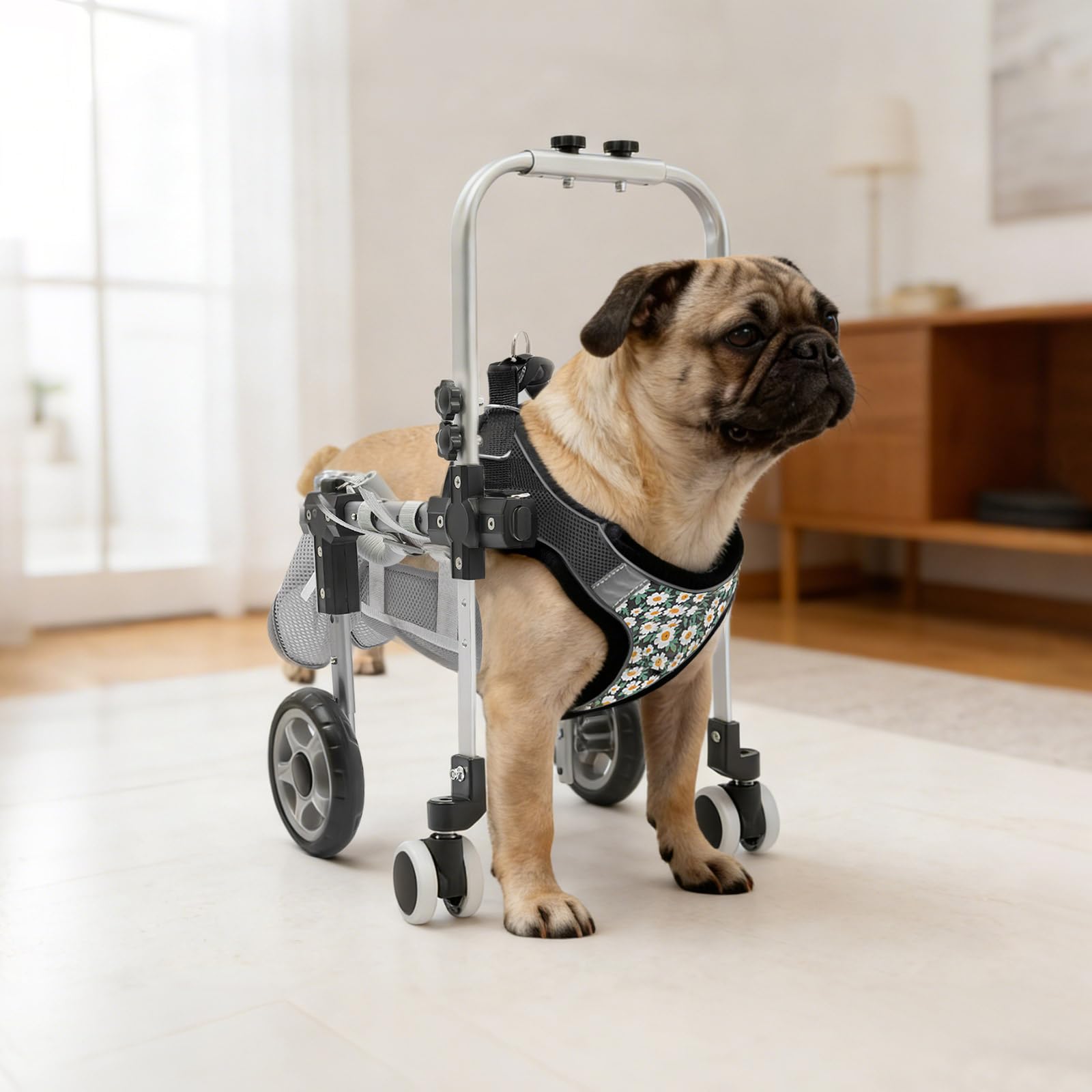 Fauteuil roulant pour chien - Pour pattes arrière - Aide à la mobilité - Harnais de mobilité - Aide à la marche pour chien - Avec 4 roues - Longueur du dos réglable - Tour de poitrine et hauteur du