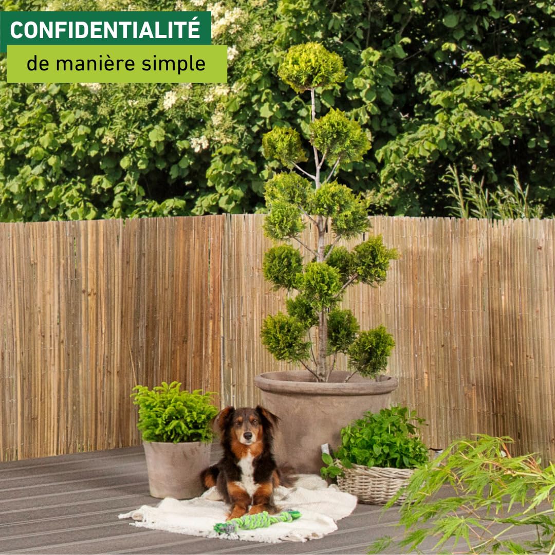 Provence Outillage Natte Brise Vue Bambou 2x3m