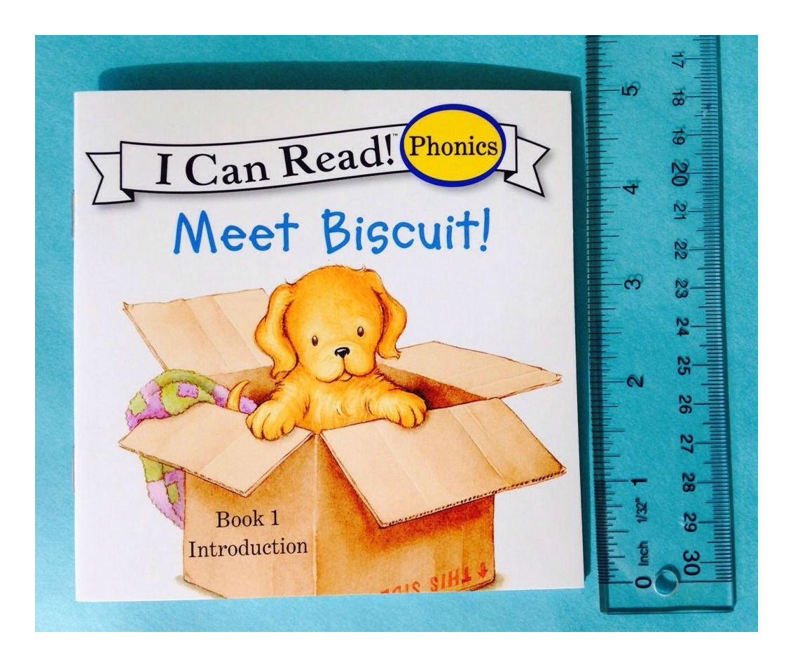 Early Reader Can Read Books with Biscuit More Phonics Fun Lot 12