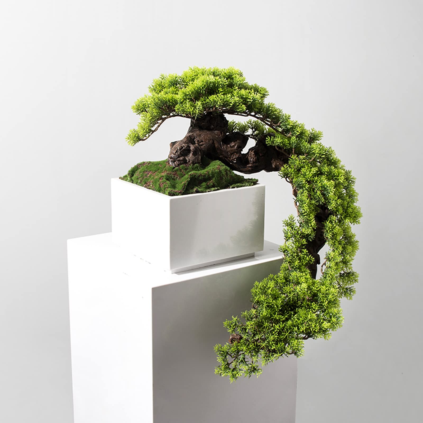Artificielle Bonsaï Arbre Artificiel Artificia Plantes en Pot Fausses Plantes Fausse Plante for la décoration intérieure, Fausse Plante Blanc Pot for la décoration de Bureau Plante Artificielles