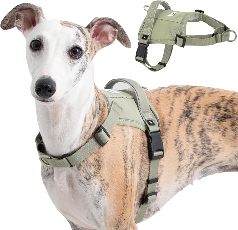 Peitoral tipo cabresto ajustável para cães com alça, bolso para rastreador e faixas refletivas Sovarin Verde L