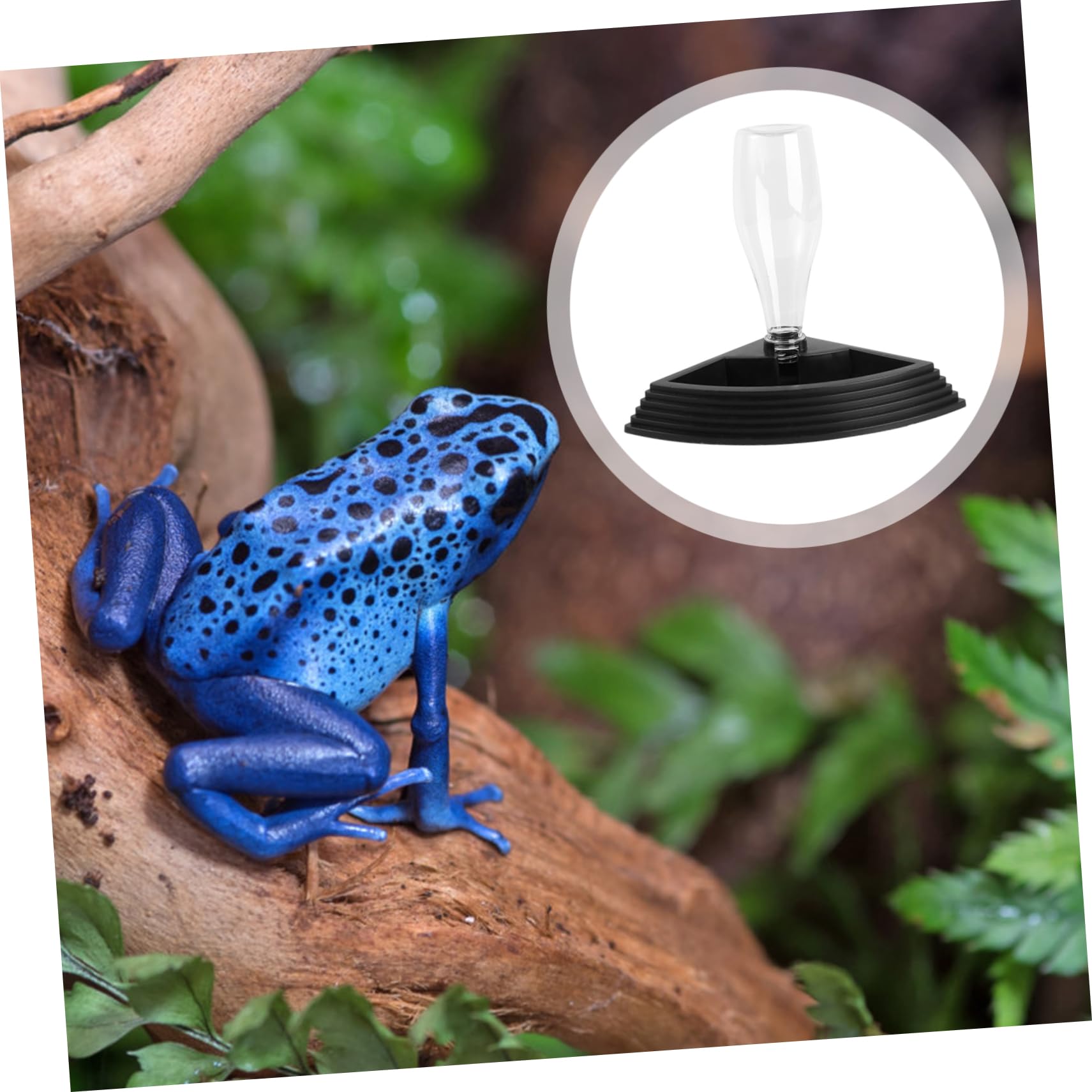 FRCOLOR 3pezzi Distributore Automatico per Rettili Abbeveratoio Antiscivolo per Tartarughe e Lucertole Design Stabile e Facile da Pulire Adatto Diversi Serbatoi