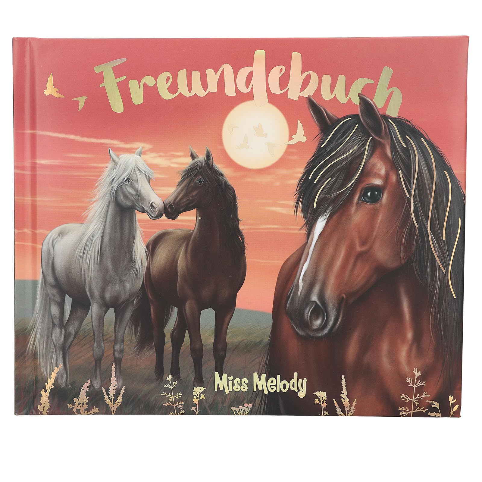 Depesche Miss Melody Friendship Book | Horse Friend Album for Girls | 108 Lovingly Designed Pages for Friends & Teachers | Hardcover Memory Book | Horse Motif Evening Sky