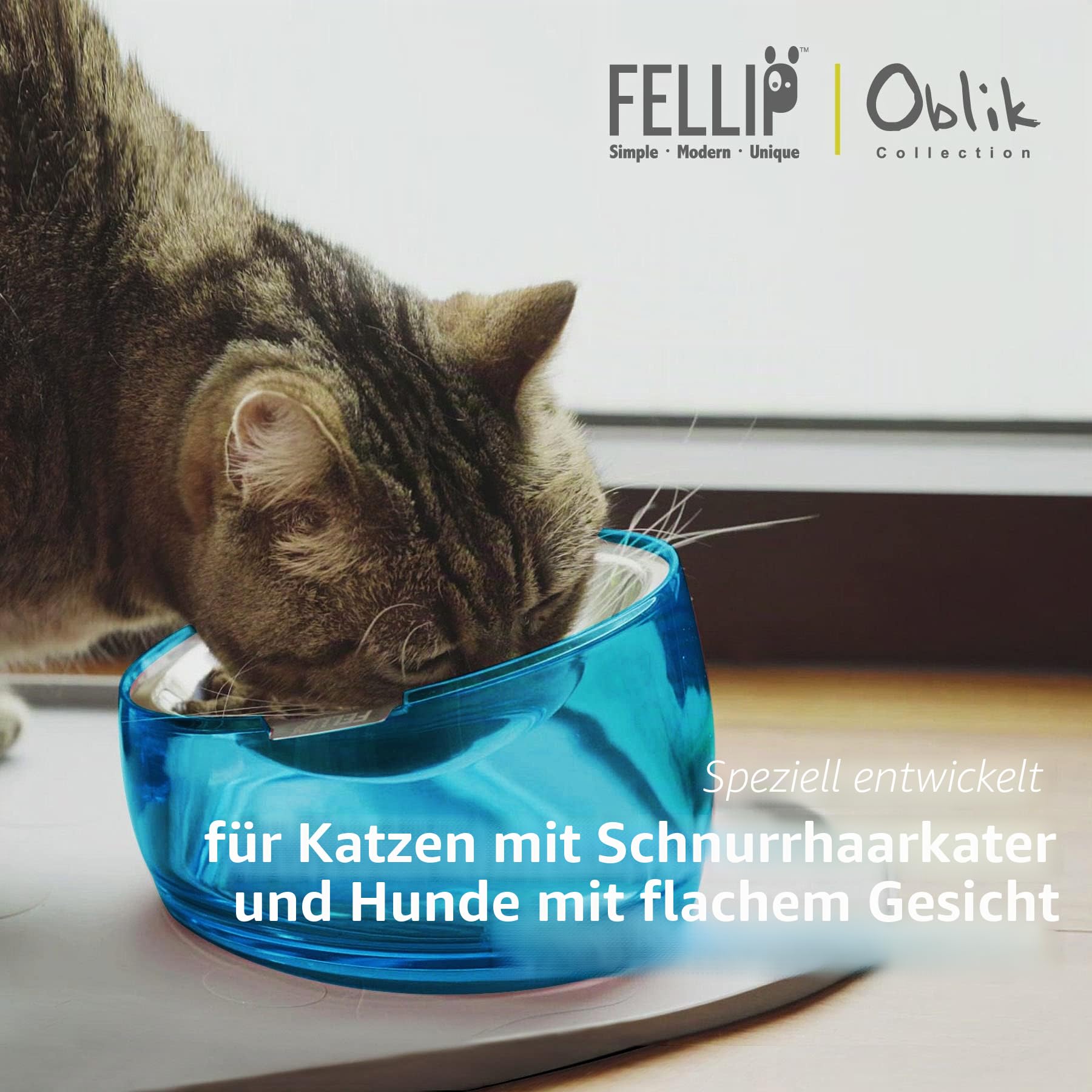 Felli Pet Oblik Schnurrhaar, Müdigkeit, Katzennapf, Edelstahl, Flacher, Flacher Teller für trockenes Nassfutter, erhöhter Acrylboden mit Leckerli-Aufbewahrung, Anti-Erbrechen, Rutschfester