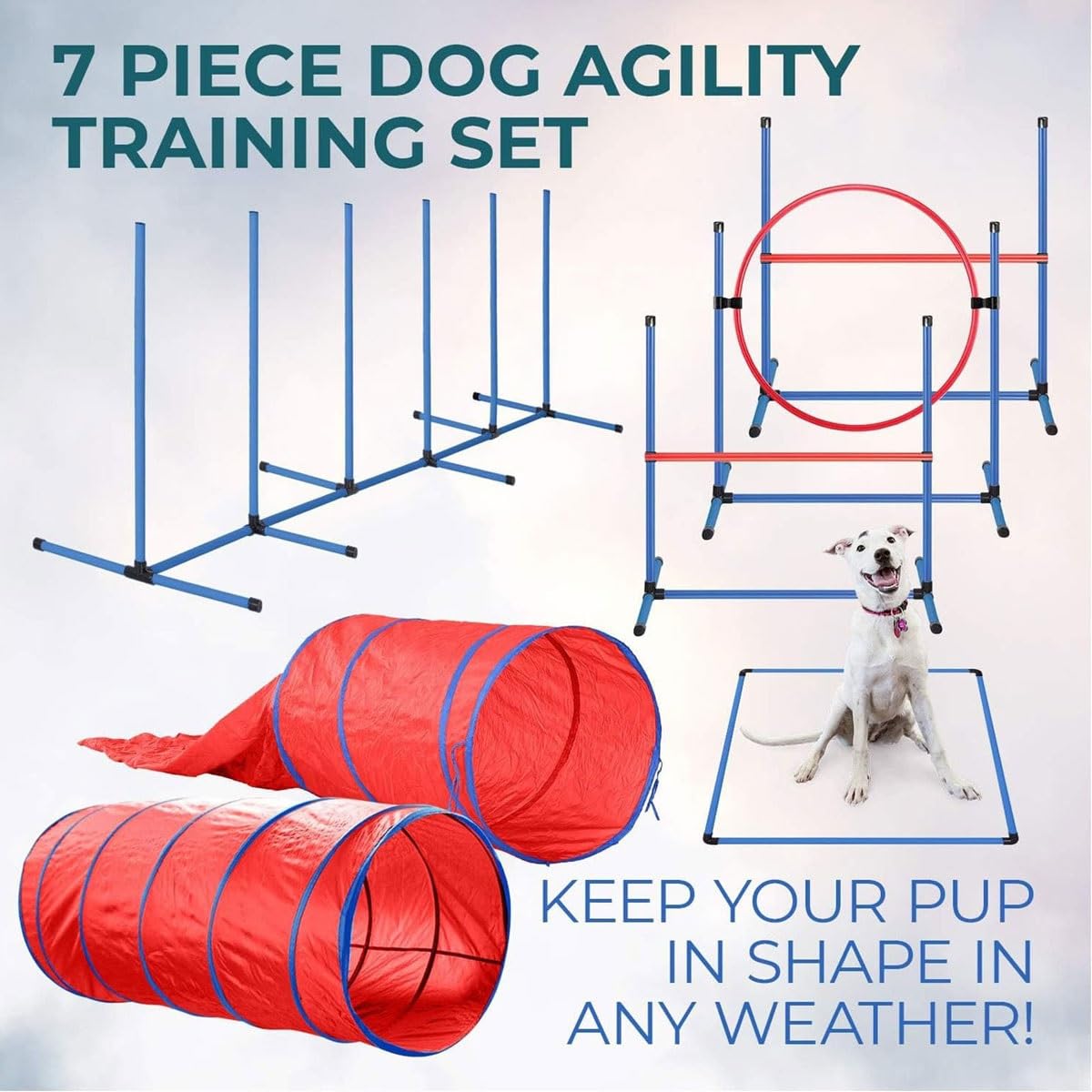 Hunde-Agility-Trainingsgeräte-Set, tragbarer Hunde-Agility-Kurs Hinterhof-Set mit 9-Fuß-Hundetunnel, Webstangen, Reifen-Hundesprüngen