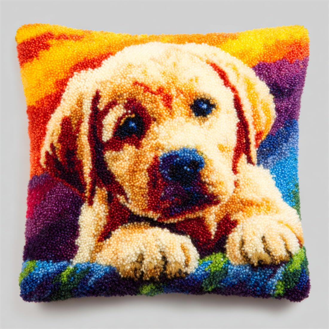 Kitquiver P Animal Latch Hook Cushion Kits Cartoon Labrador Diy Latch Hook Kits Illow Needlepoint Cushion Kit For Home Décor Needlework Set For Adult Beginners 17X17in