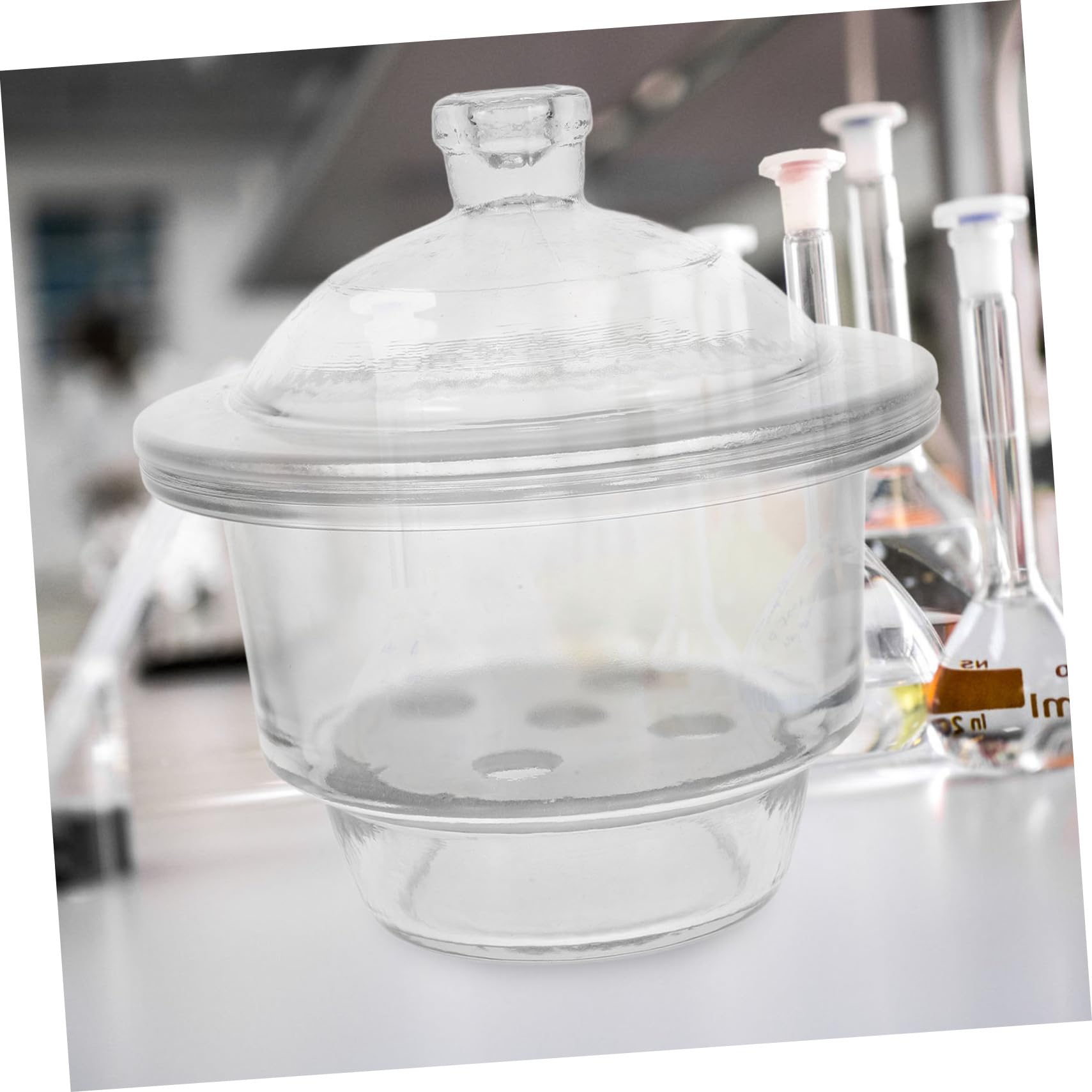 Desecador Secado para Laboratorio de 150mm de Vidrio | Alta Transparencia, Uso en Enseñanza y Presentación, Manejo Cómodo y Formato Portátil