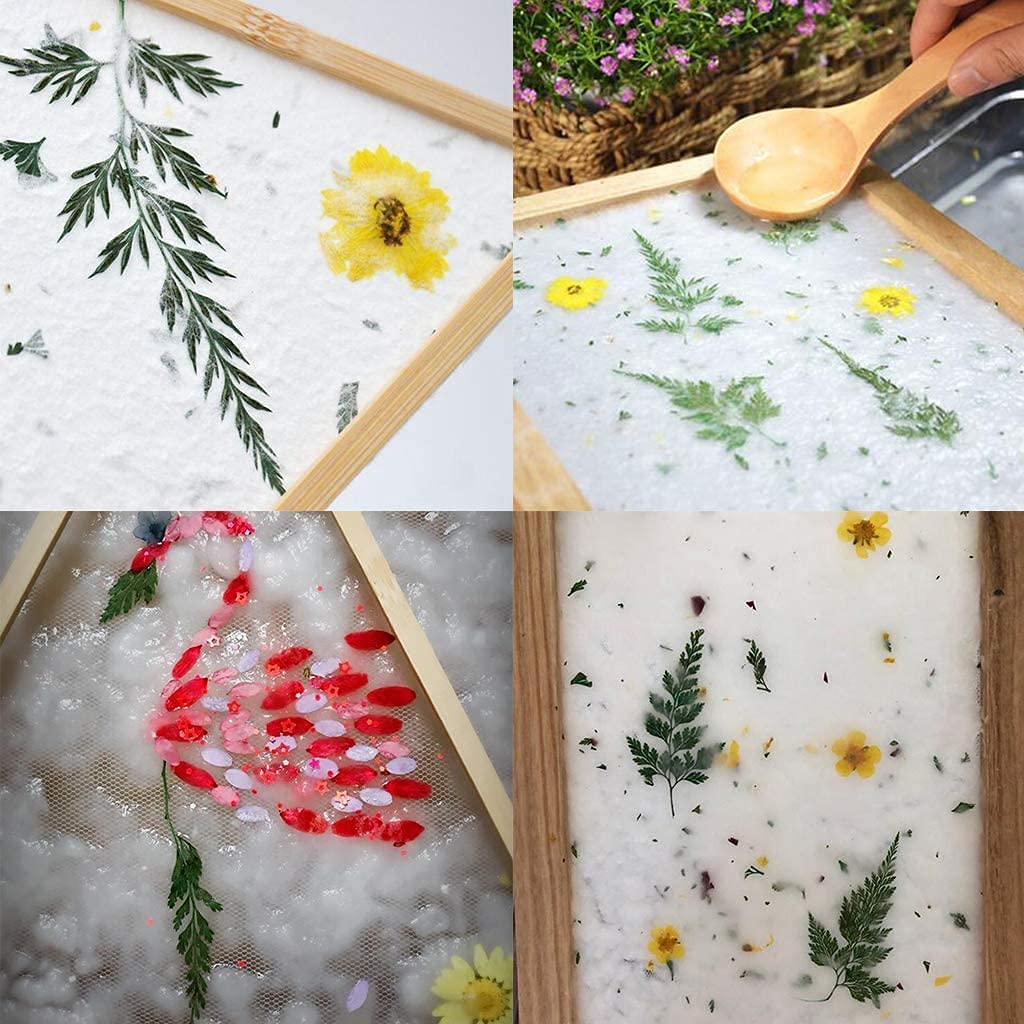 suszone prasowane kwiaty naturalne suszone kwiaty prawdziwe kwiaty prasowane kolorowe suche kwiaty do biżuterii z żywicy Nail Art Craft DIY (biały)