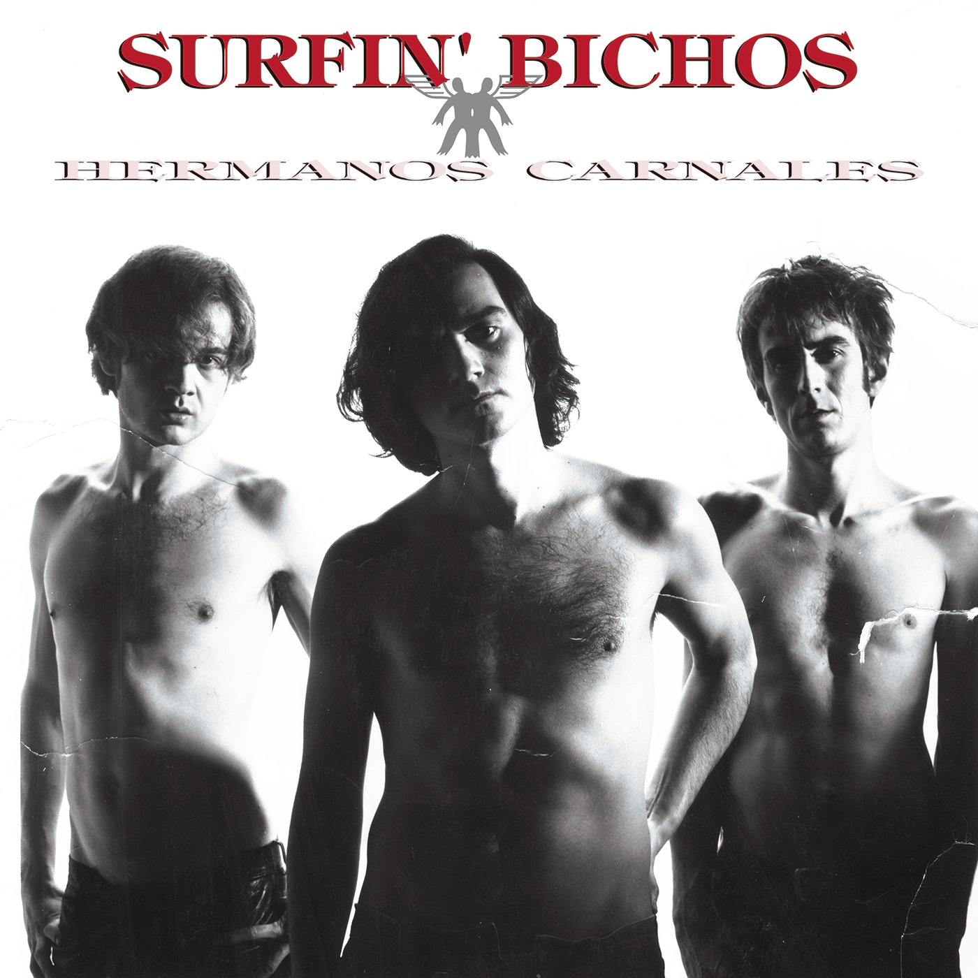 Surfin' Bichos