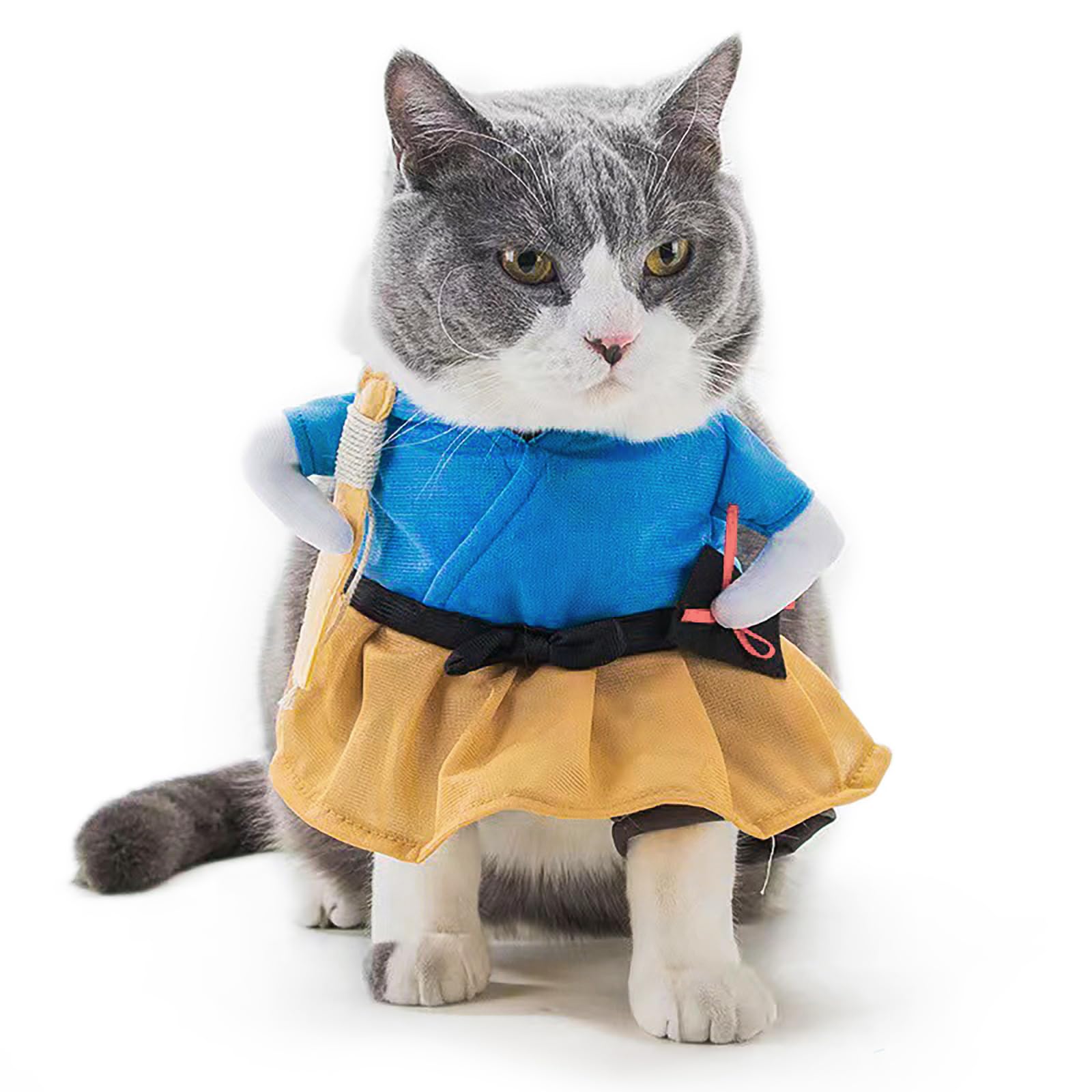 LOXSAYOSYDog and Cat Costume - Charming, Festive Pet Apparel for Special Occasions (C, Large)