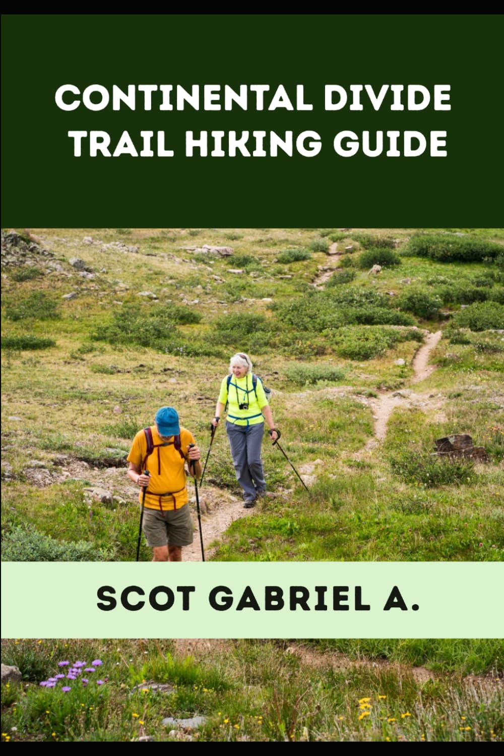 CONTINENTAL DIVIDE TRAIL HIKING GUIDE (The Explorer’s Hiking Collection)