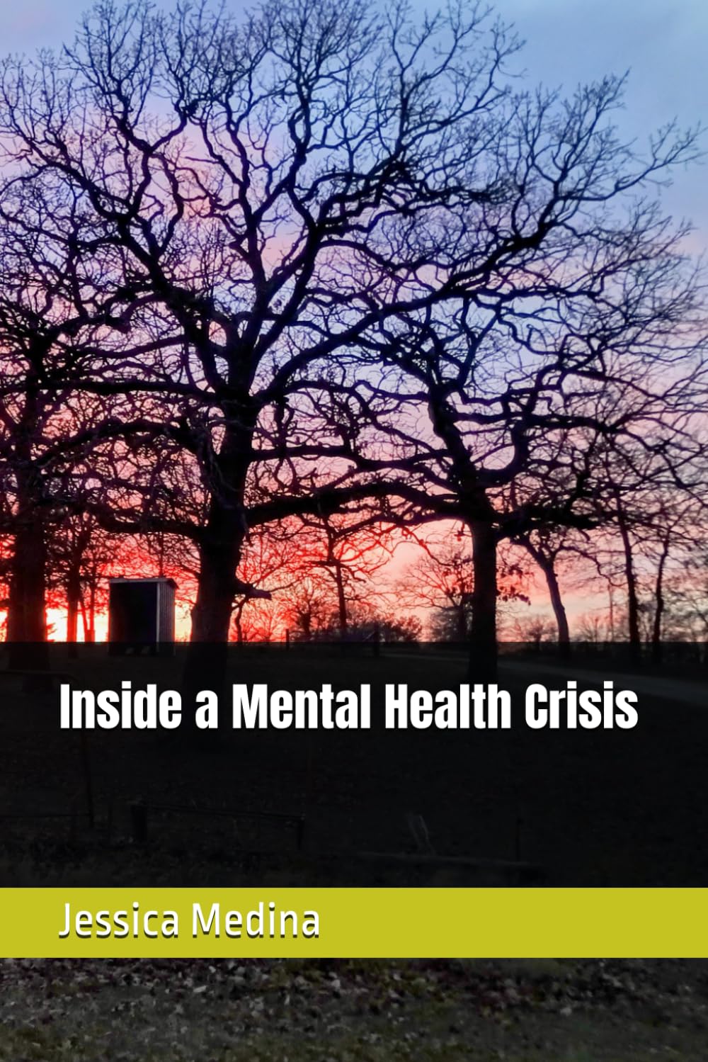 Inside a Mental Health Crisis