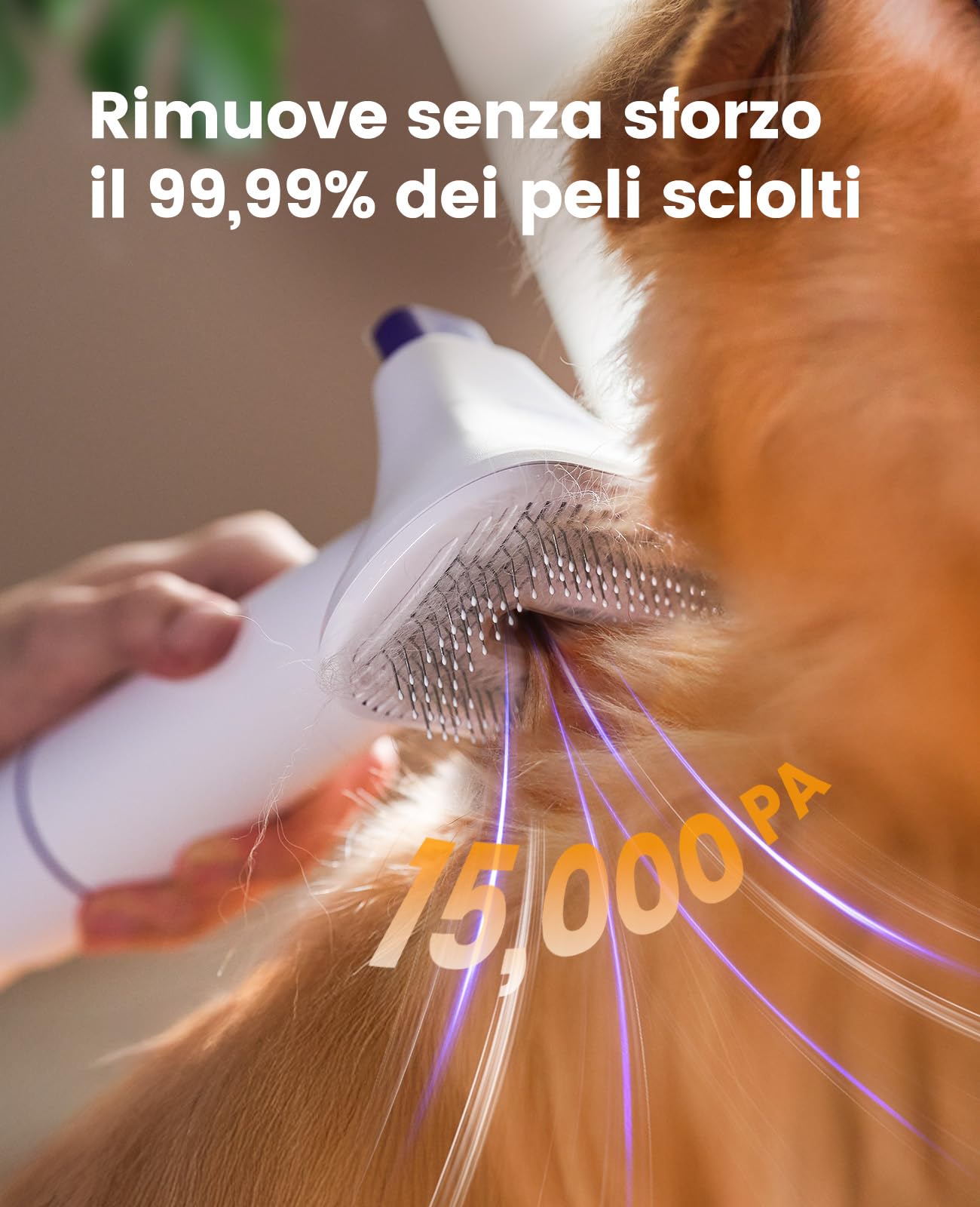 oneisall cane aspirapolvere con spazzola, forte potenza di aspirazione cane spazzola aspirapolvere con 12000 Pa, succhia il 99,99% dei peli di animali domestici (1,5L) con 4 accessori per la cura