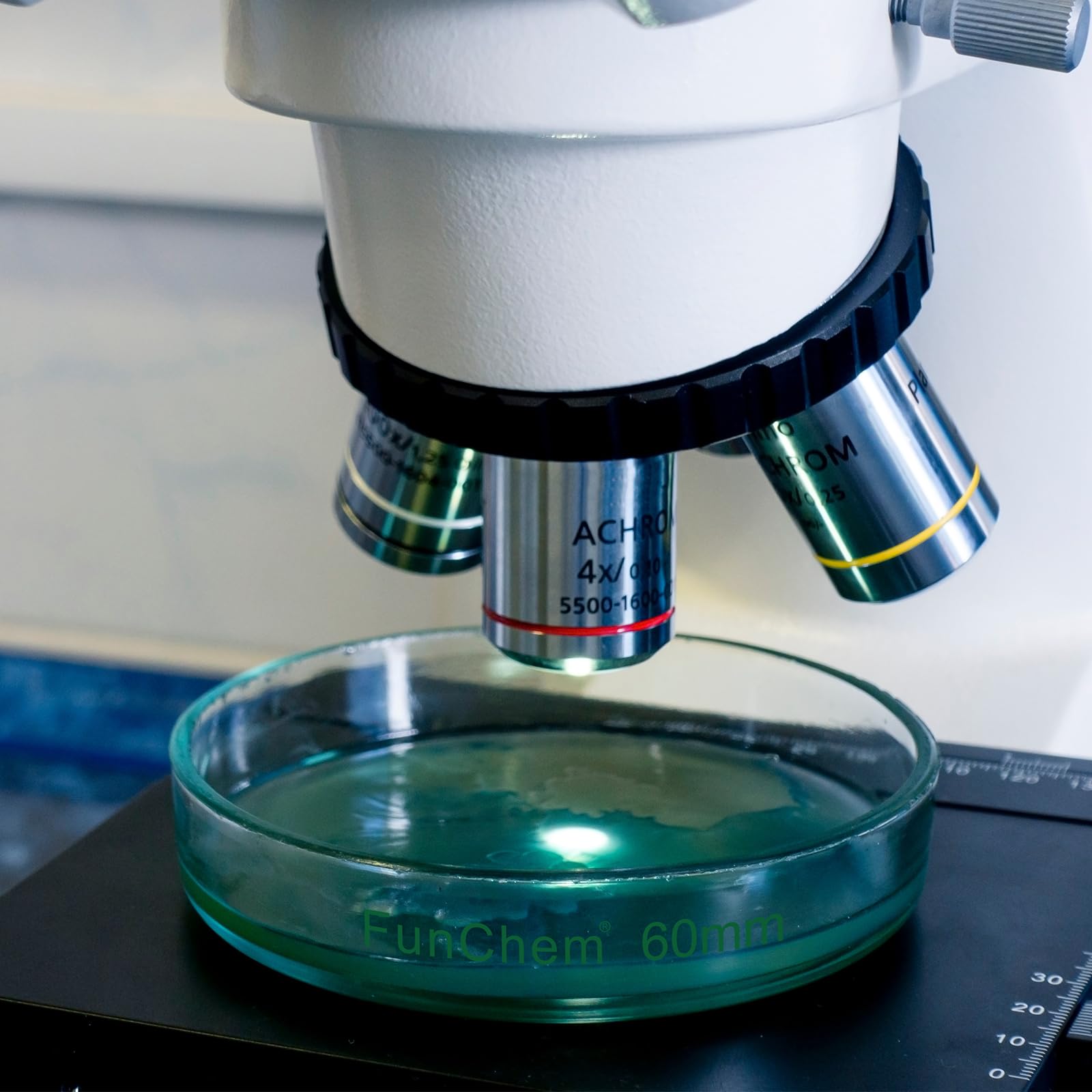 FunChem Capsula Petri in Vetro Borosilicato con Coperchio Trasparente per Test e Osservazioni di Laboratorio - Diametro Esterno 60 mm, Confezione da 5