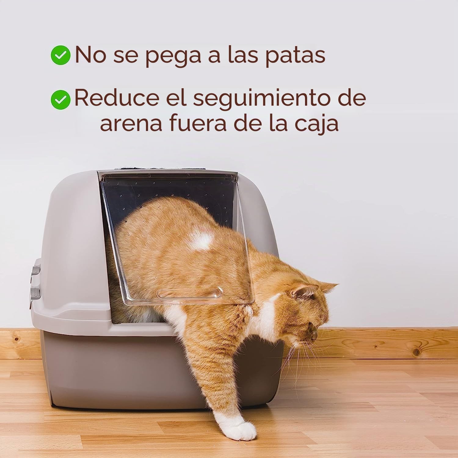 Alpha Paw - Arena para Gatos Genius con indicador de Salud de 5 Colores, Cristales de Gel de sílice Ligeros no aglutinantes (6 Libras)